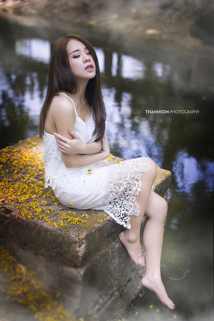 黑色大丽花